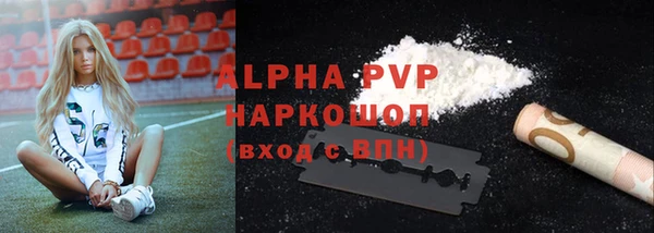 PSILOCYBIN Верхний Тагил