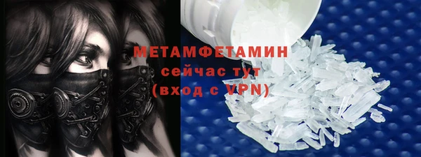индика Бородино