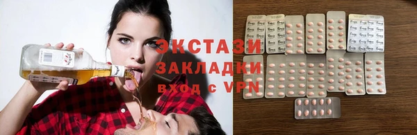 индика Бородино