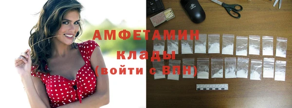 индика Бородино