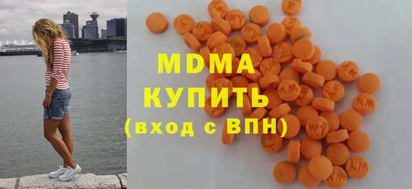 индика Бородино