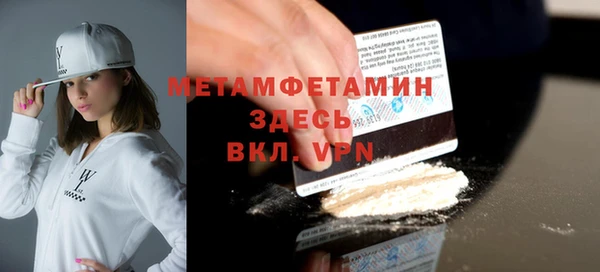 индика Бородино