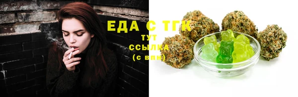 индика Бородино