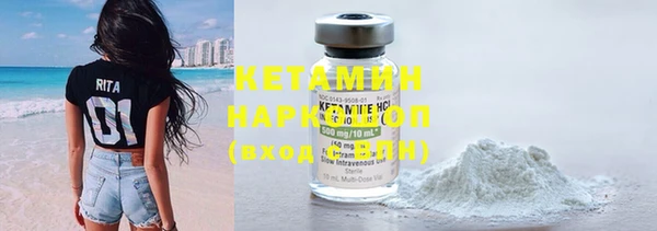 индика Бородино