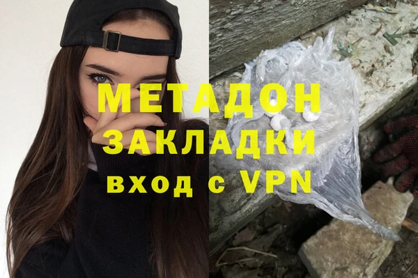 индика Бородино