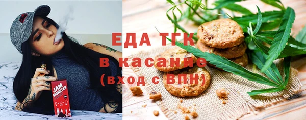 индика Бородино