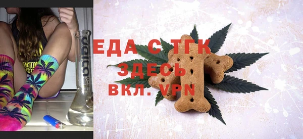 индика Бородино