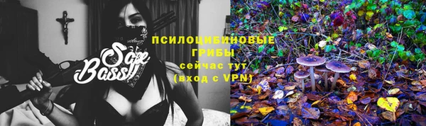 индика Бородино