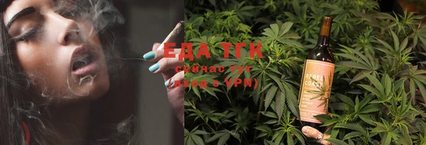индика Бородино