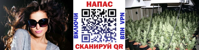Шишки марихуана SATIVA & INDICA  Медногорск 